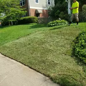 BAM's Landscaping Small Sod Install on Hill