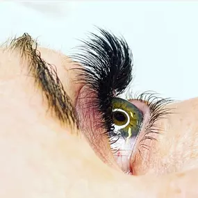 Bild von Lash My World