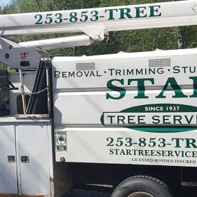Bild von Star Tree Service