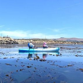 Bild von Morro Bay Paddlesports