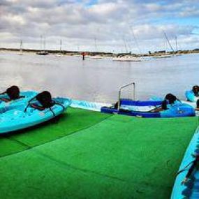Bild von Morro Bay Paddlesports