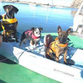 Bild von Morro Bay Paddlesports