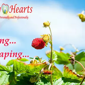 Bild von Winning Hearts IM A+ Personal Transformation Services