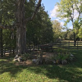 Phelps Pharm | Farm, Bed & Breakfast, Horseback Riding, Walking Trails, Horse Riding Trails, Hiking, Lodging, Vacation Rental