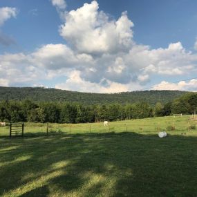 Phelps Pharm | Farm, Bed & Breakfast, Horseback Riding, Walking Trails, Horse Riding Trails, Hiking, Lodging, Vacation Rental