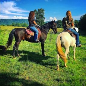 Phelps Pharm | Farm, Bed & Breakfast, Horseback Riding, Walking Trails, Horse Riding Trails, Hiking, Lodging, Vacation Rental