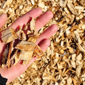 Not only do they recycle important nutrients back into the soil, they also protect your trees from mechanical injury, freezing temperatures, and becoming dehydrated during periods of drought. Wood chips also help to alleviate erosion problems.