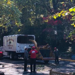 While chopping down a tree on your property or buzzing it down with a saw sounds like a good option, it’s typically not safe, up to code, or even as cost-effective as you may think. An amateur tree removal can result in injury, may not even be allowed in your neighborhood, and can be expensive if you don’t already own the proper equipment! Instead of taking a risk, trust the Certified Arborists at Northern Virginia Tree Experts to remove your tree safely.