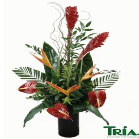 Bild von Trias Flowers & Gifts