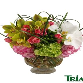 Bild von Trias Flowers & Gifts