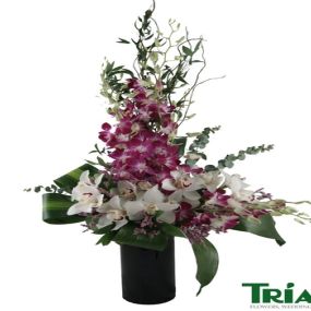 Bild von Trias Flowers & Gifts