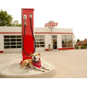 Exterior view of Digital Strike- Targeted Marketing office building with dog