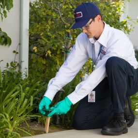 Clark Pest Control offers: Residential Pest Control, Commercial Pest Control, Lawn & Garden Services.