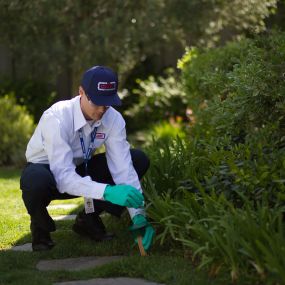 Clark Pest Control offers: Residential Pest Control, Commercial Pest Control, Lawn & Garden Services.