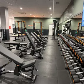 Bild von Basic-Fit Alcorcón Avenida San Martín de Valdeiglesias