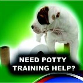 Need potty training help