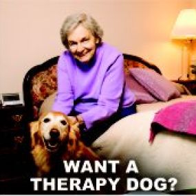 Want a therapy dog?