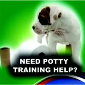 Need potty training help