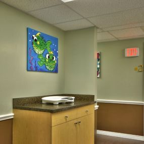 Bild von Tampa Pediatrics