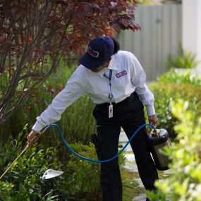 Clark Pest Control offers: Residential Pest Control, Commercial Pest Control, Lawn & Garden Services.