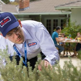 Clark Pest Control offers: Residential Pest Control, Commercial Pest Control, Lawn & Garden Services.