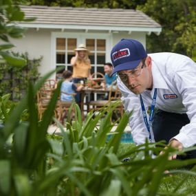 Clark Pest Control offers: Residential Pest Control, Commercial Pest Control, Lawn & Garden Services.