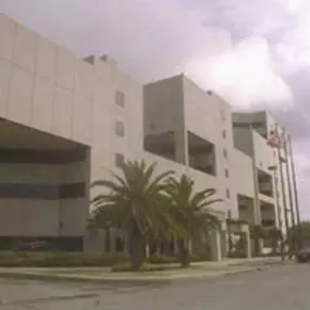 Bail Bond in Miami