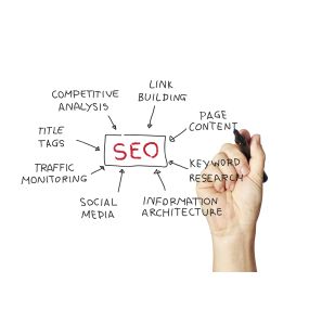 Search Engine Optimization Services