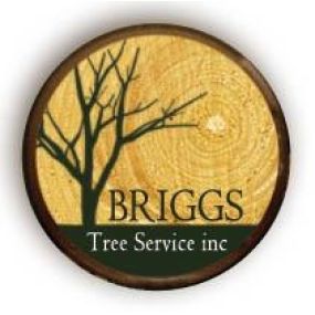 Logo Design For Briggs Tree Service in Lansing Illinois