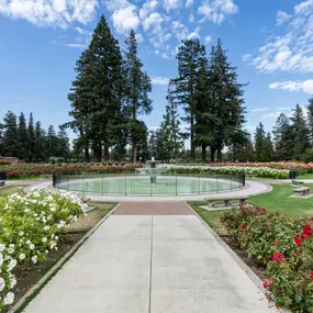 Landscaped Water Feature