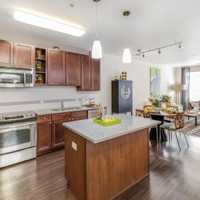 Kitchen and Living Space