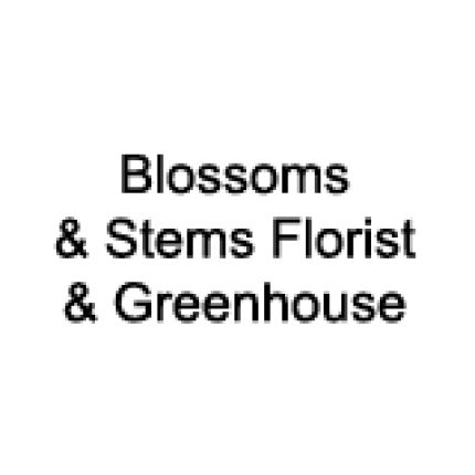 Logotyp från Blossoms & Stems Florist & Greenhouse