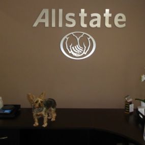 Bild von Connie Coots: Allstate Insurance