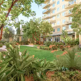 Vi at La Jolla Village exterior gardens.