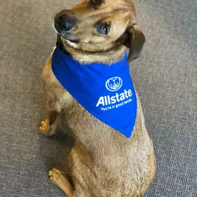 Bild von Keith D. Duncan: Allstate Insurance