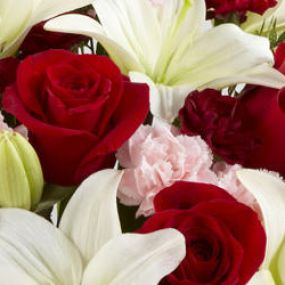 Bild von Fresh Bloomers Flowers & Gifts Inc