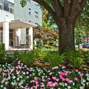 Clarence House Apartments in NW Washington DC