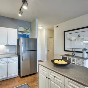 Chef-Inspired Kitchen