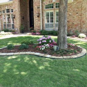 PLM Professional Landscape Management
4724 Dozier Rd 
Carrollton, TX 75010