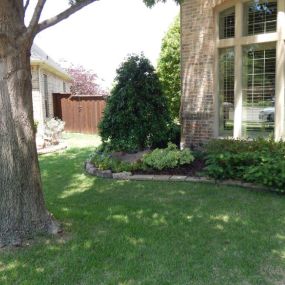 PLM Professional Landscape Management
4724 Dozier Rd 
Carrollton, TX 75010