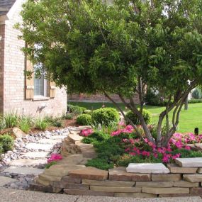 PLM Professional Landscape Management
4724 Dozier Rd 
Carrollton, TX 75010