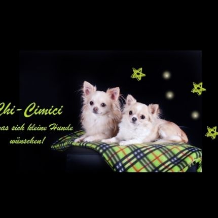 Logótipo de Chi-Cimici ... was sich kleine Hunde wünschen!