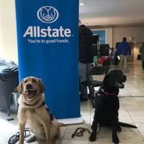 Bild von Ciani Portillo: Allstate Insurance