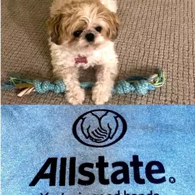 Bild von The Streit & Kern Agency: Allstate Insurance