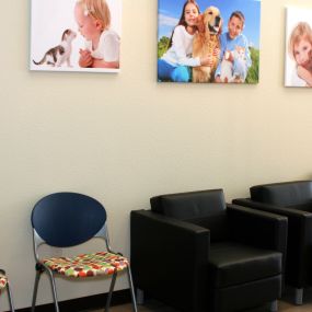 Bild von All Creatures of Plano Veterinary Center