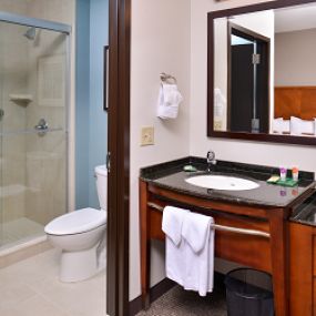 Guest room bathroom.