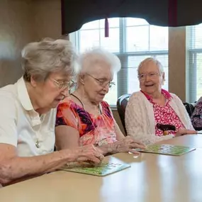 The independent senior lifestyle at Southview Senior Living is filled with recreational, educational, and social opportunities that help our seniors gain an increased quality of life while also maintaining their dependence. To learn more, visit our website today!