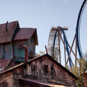 Eight world-class roller coasters reside in Dollywood.