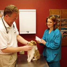 Our pets are our family, and that is why we will do anything possible to get your pet back to you feeling better than ever. Heritage Animal Hospital provides emergency services and cares, such as surgeries, as needed to help your pet get back on its feet.