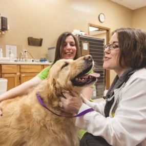 Happy animals mean happy people. Heritage Animal Hospitals full service veterinarian clinic provides a variety of services including grooming, surgical procedures, dental care and more.